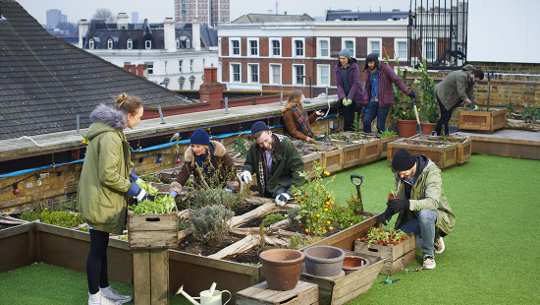 Five Creative Ways City Dwellers Can Still Grow Their Own