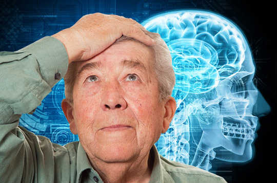 What Happens To The Brain In Aging?